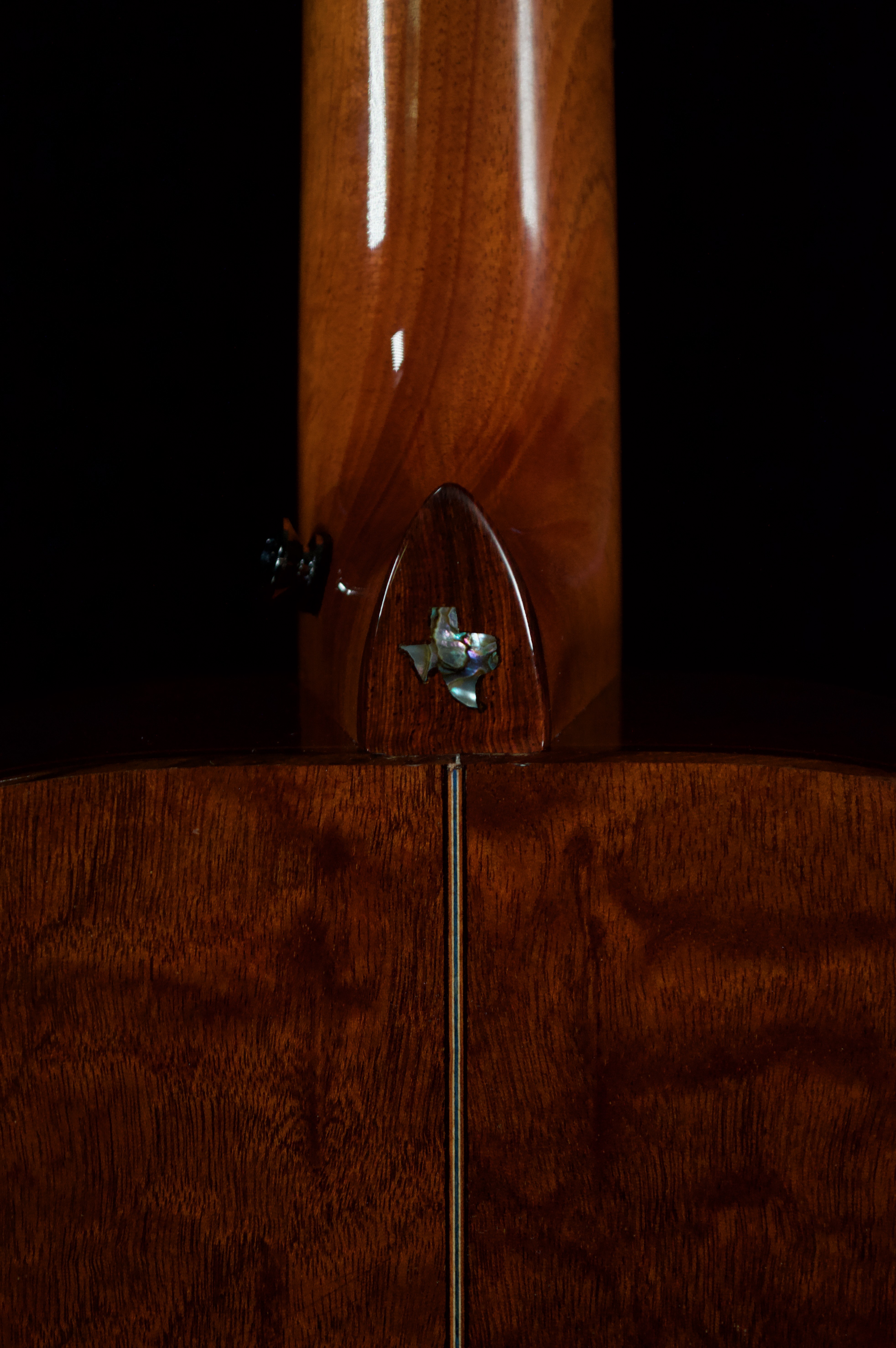 DSC_0014 squashed.jpeg