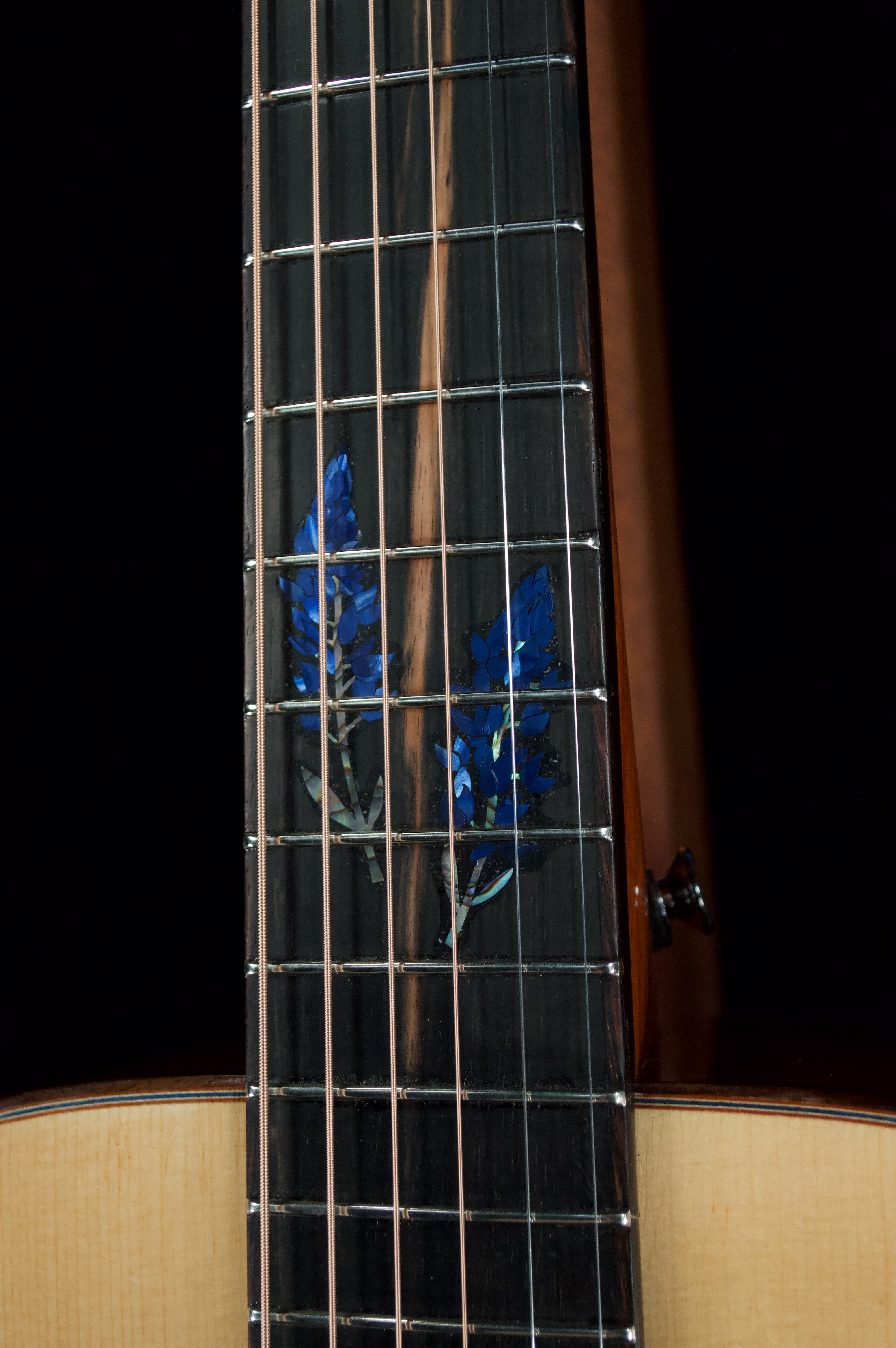 DSC_0026 squashed.jpeg