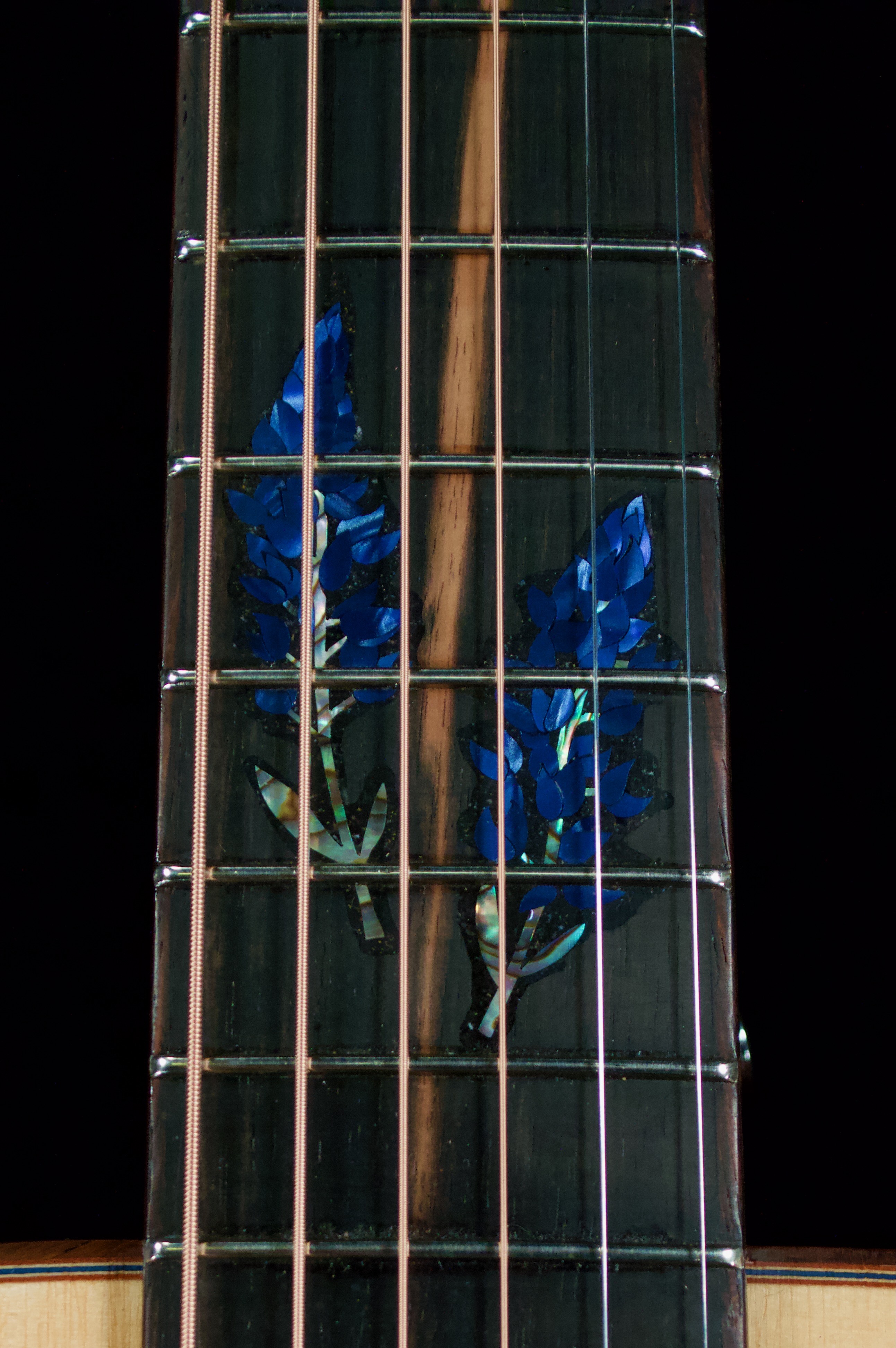 DSC_0028 squashed.jpeg